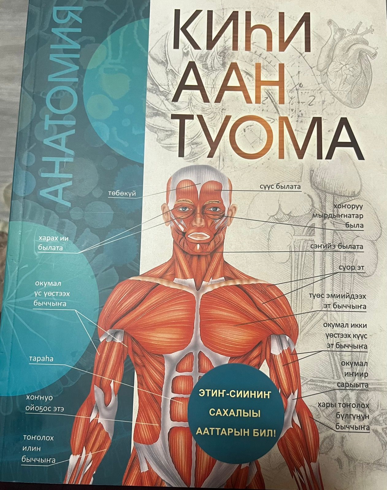 Kniga Kihi aan tuoma