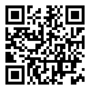 Matveev Kirill qr code