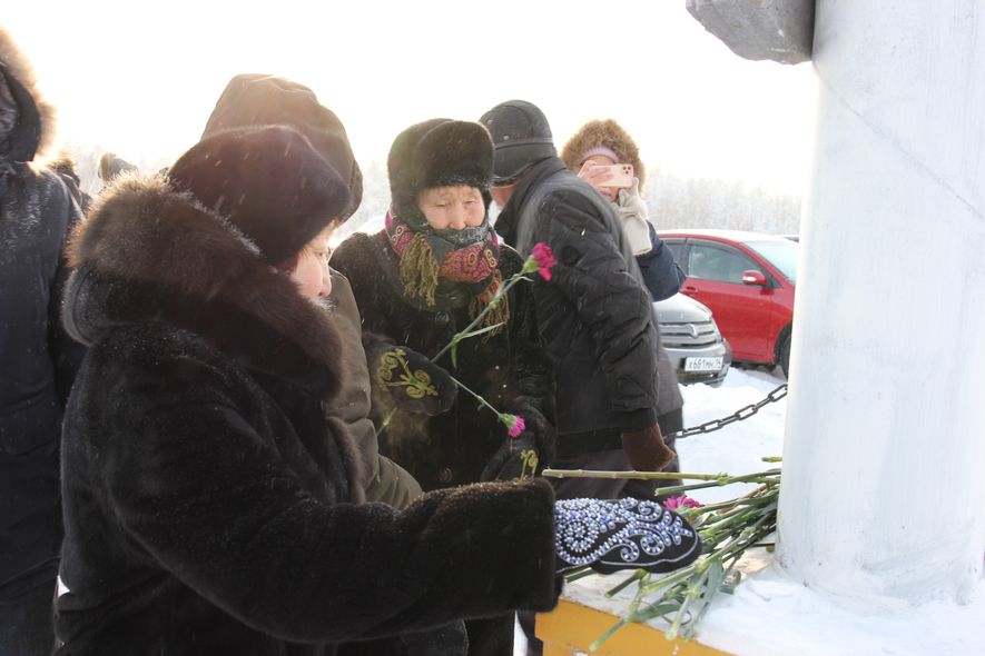 11 Новгородов