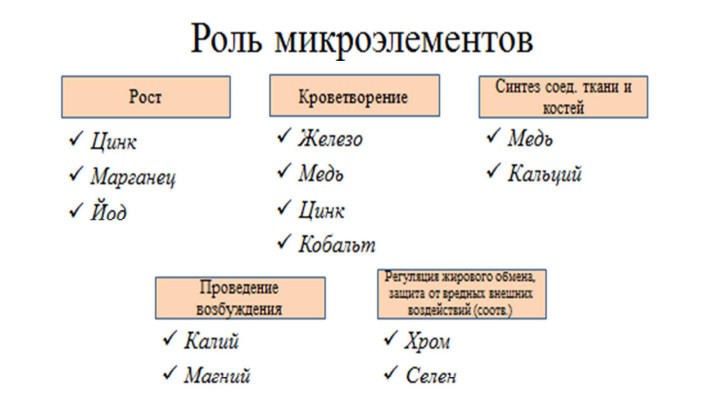27 микроэлементы 2