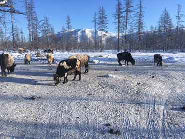 IMG 20180304 WA0008