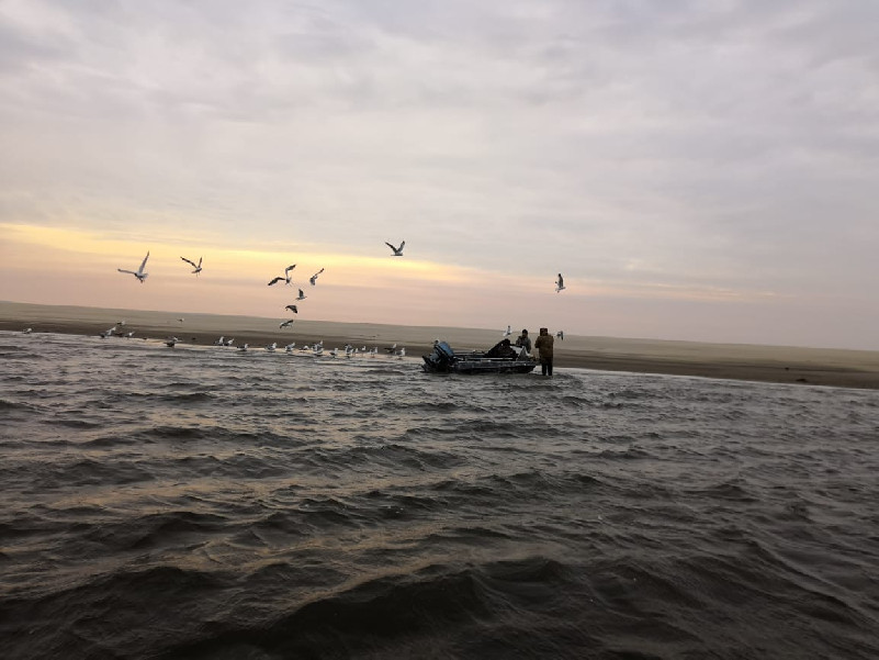 IMG 20181020 WA0021