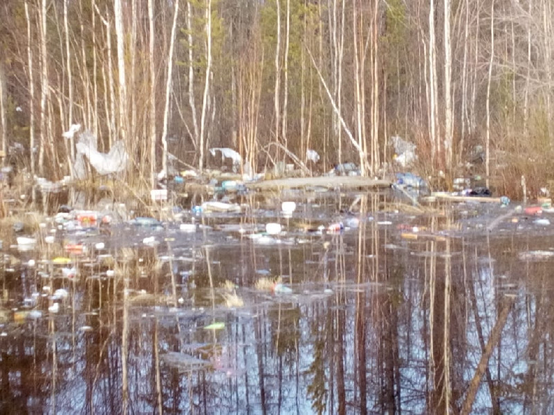 IMG 20190513 WA0006