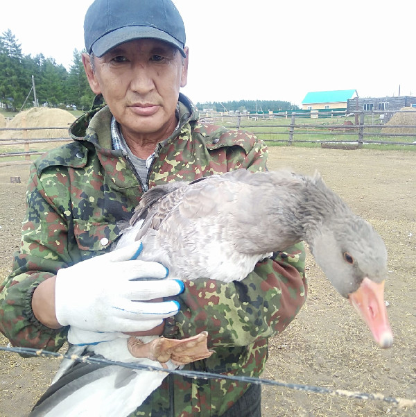IMG 20191112 WA0012