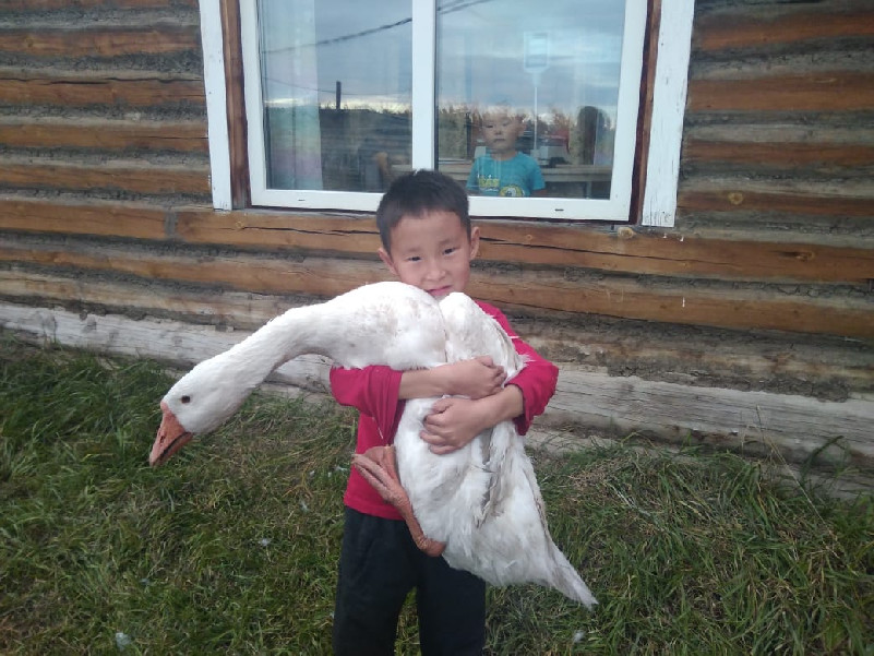 IMG 20191112 WA0013