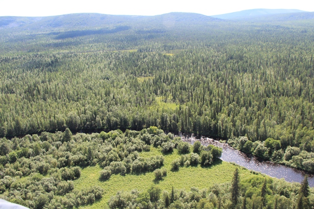  резерват Пилька