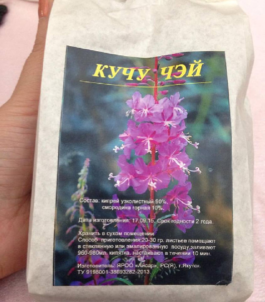 kuchu4