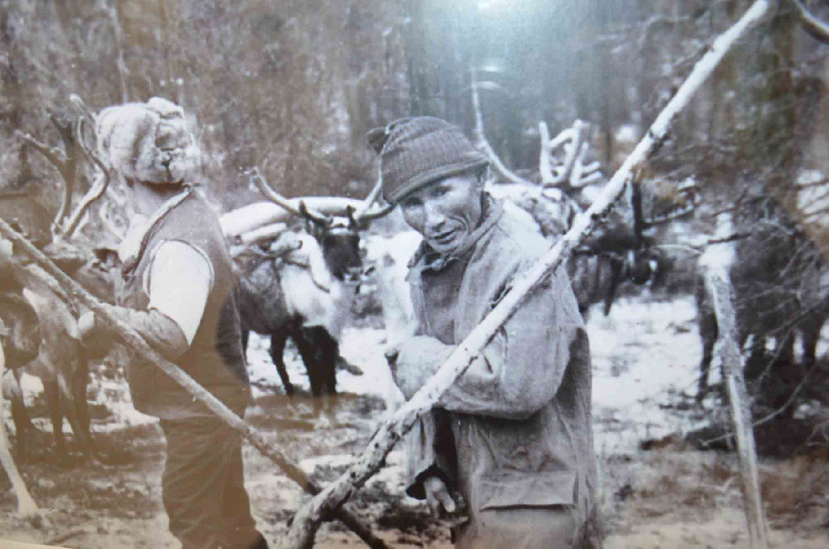 nabahytborokyoppai