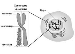 xrom