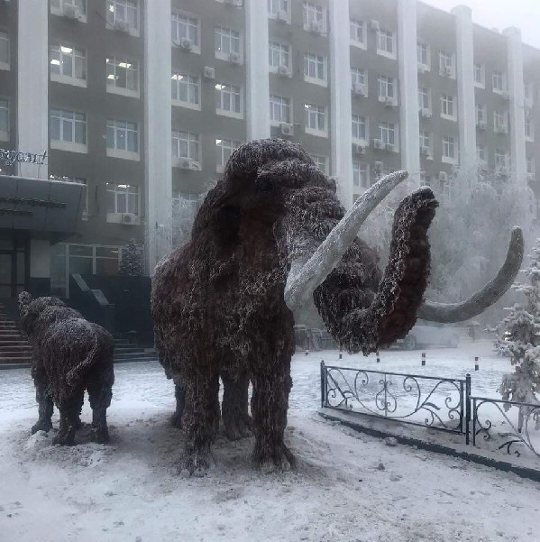 Мамонт перед Мэрией 158 n