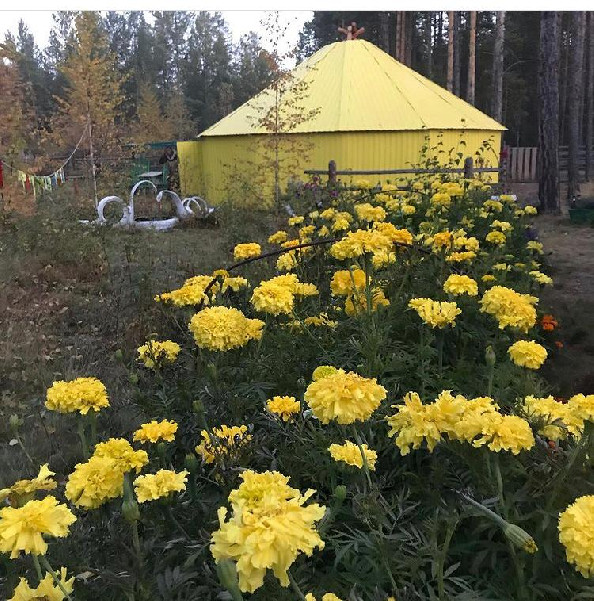 Ураьа