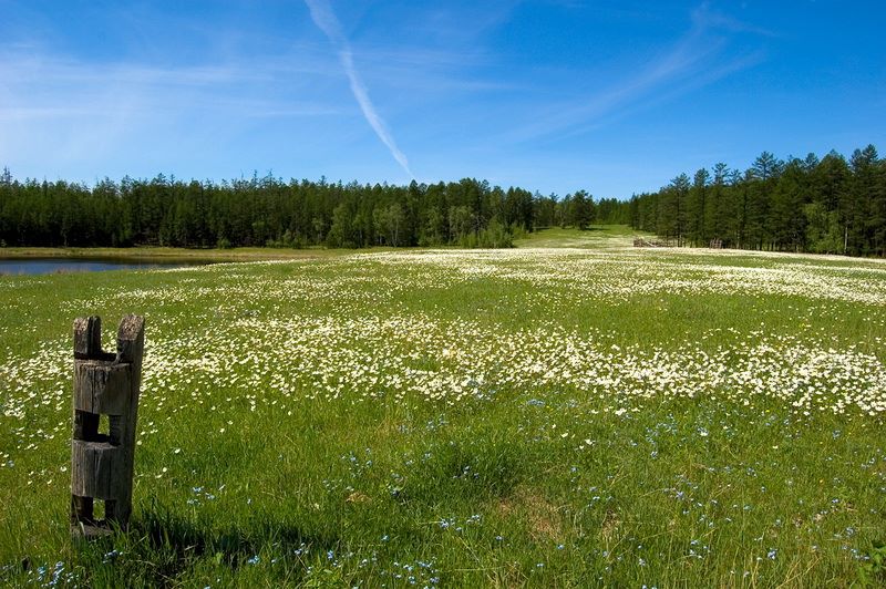 айылҕа
